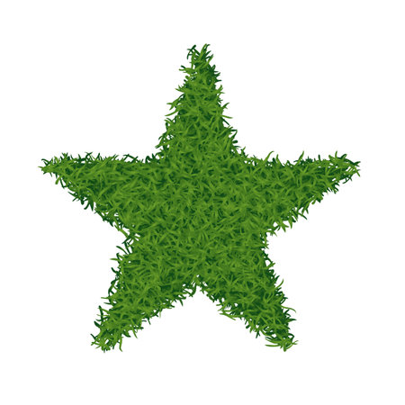 Star grass design illustration on white background.のイラスト素材