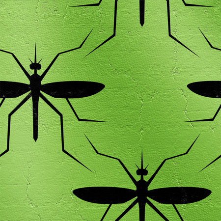 insects illustrationの写真素材