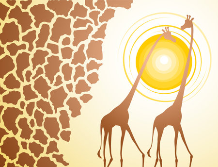 A nice giraffes illustration isolated on cool backgroundのイラスト素材