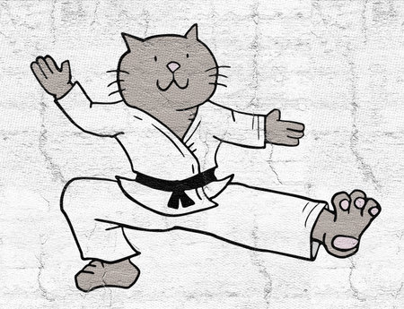 karate catの写真素材