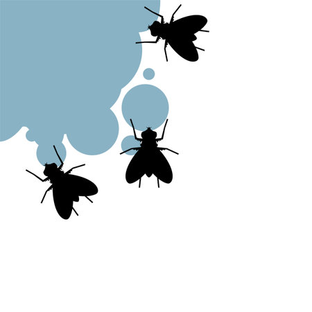 flies eating illustraitonのイラスト素材