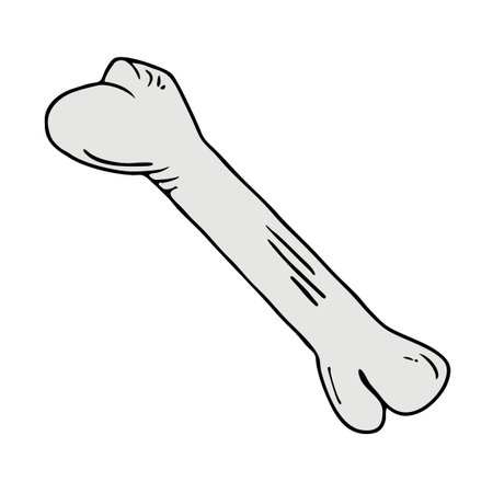 Bone illustration designのイラスト素材