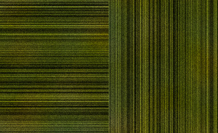 creative color art background