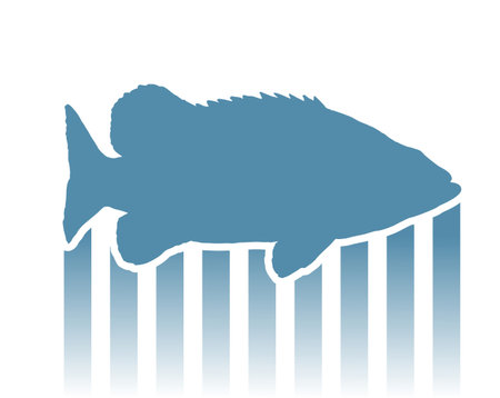 original fish drawのイラスト素材