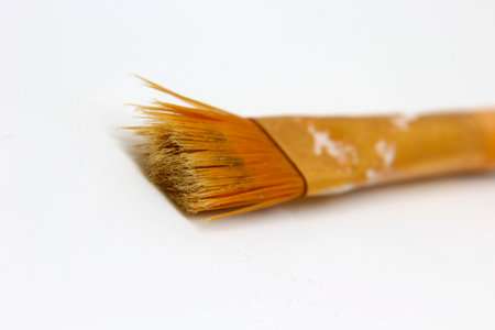 brush photo detailの写真素材