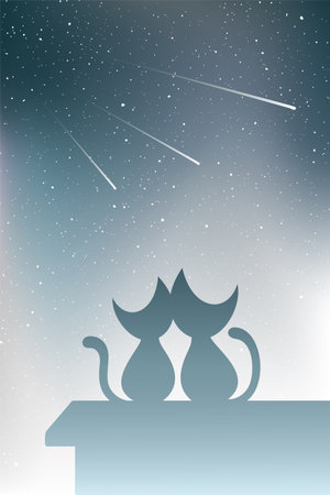 cats watching shooting starsのイラスト素材