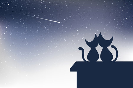 cats watching shooting starsのイラスト素材