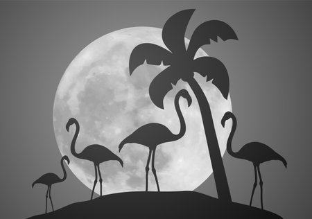 nice moon and palmsのイラスト素材