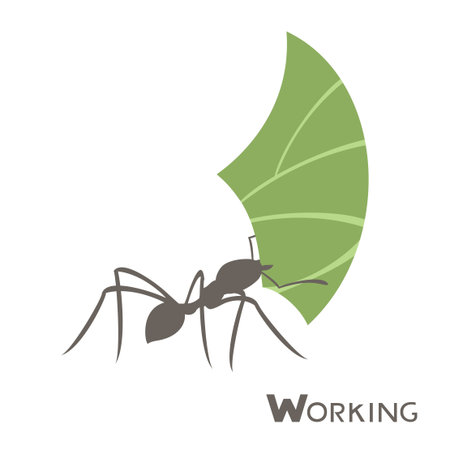 Creative design of ant workingのイラスト素材