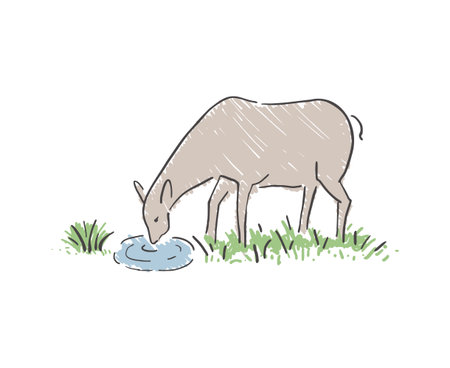 Design of doe drinking waterのイラスト素材