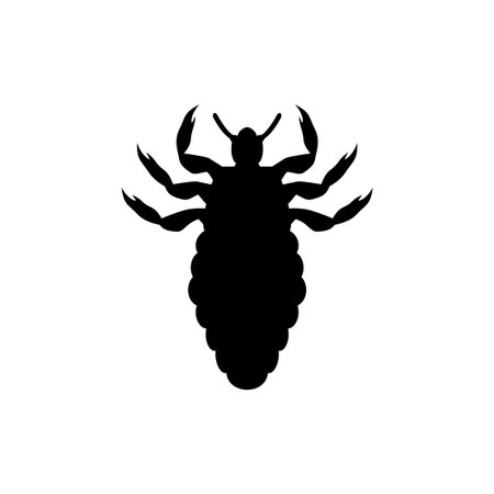 Louse insect drawingのイラスト素材