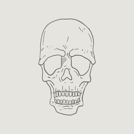 Design of skull hand drawのイラスト素材