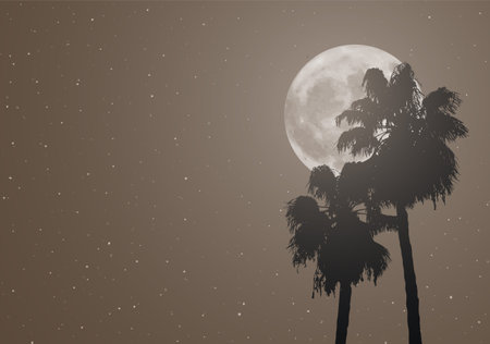nice moon and palmsのイラスト素材