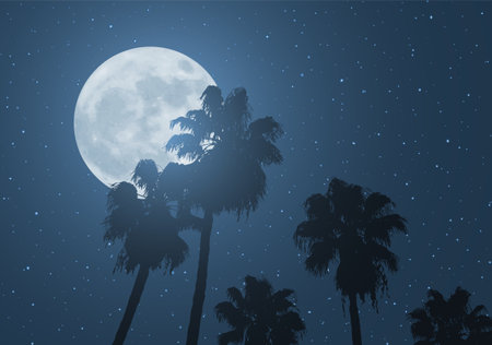 nice moon and palmsのイラスト素材