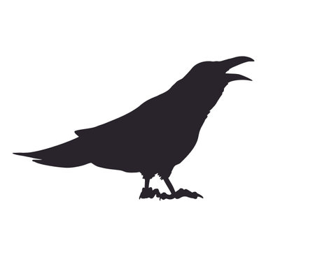 Crow illustration designのイラスト素材
