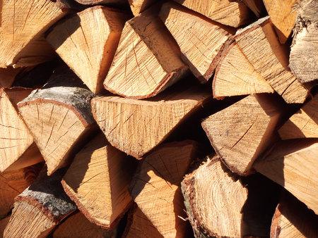 stacked firewoodの写真素材