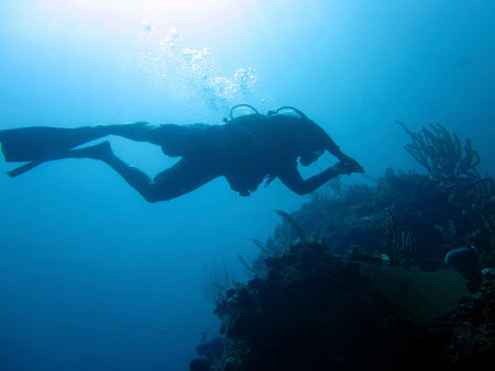 SCUBA diver downの写真素材