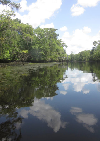 Clouds reflected in a Florida Creekの写真素材
