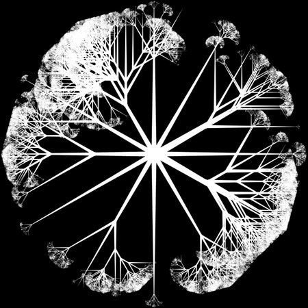 Black abstract pattern の写真素材