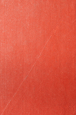 Photo of a natural old red skin with the relief invoiceの写真素材