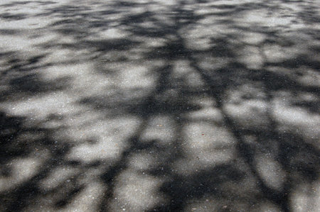 Dark shades on gray asphaltの写真素材