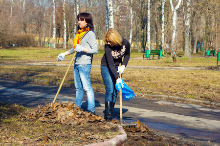 people clean fallen down leaves In park のeditorial素材