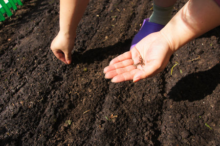 crops of seeds of plants to the soil