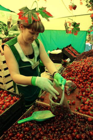 23.06.2011 Moscow, vegetable market.のeditorial素材