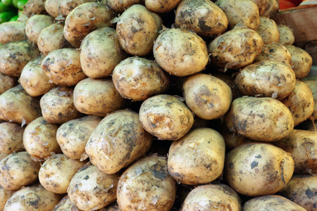heap of potatoesの写真素材