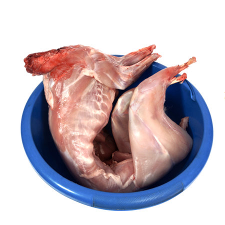 meat carcass of a rabbitの写真素材