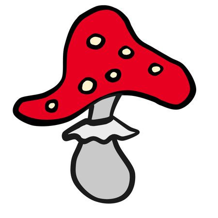 Painted amanita, white backgroundの写真素材