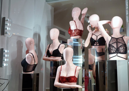 MOSCOW, RUSSIA - NOVEMBER, 2012: Showcases with mannequins of women in underwear in a clothing store.のeditorial素材