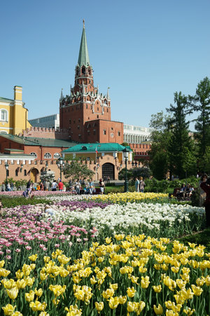 Moscow, Russia - JUNE, 2016: Flowers in flowerbeds in the Alexander Garden.のeditorial素材