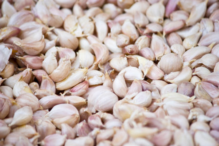 Cloves of garlic.の写真素材
