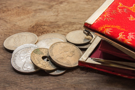 Beautiful purse with euro coins