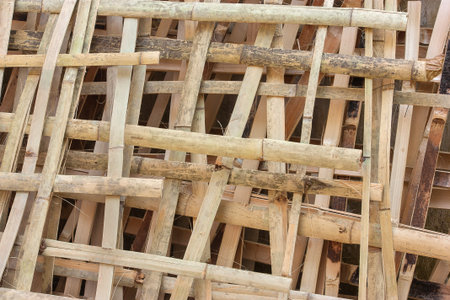 Bamboo fence done, put back together.の写真素材