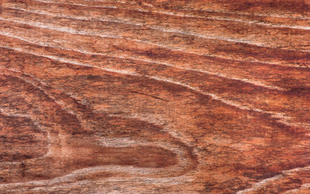 Close-up of a pattern of teak wood.の写真素材