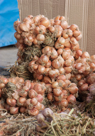 Onions are a pile of cardboard as a background.の写真素材