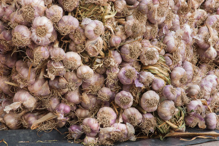 Garlic Division for distribution in Thailand.の写真素材