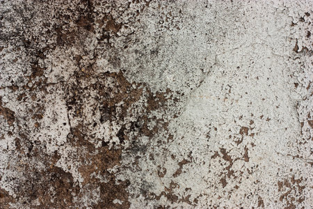 White walls are textured black dirt stains.の写真素材