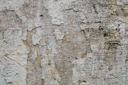 White walls are textured black dirt stainsの写真素材