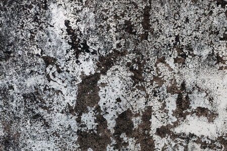 White walls are textured black dirt stains