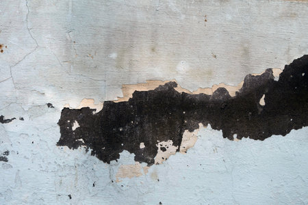 White walls are textured black dirt stains.