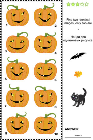Halloween visual puzzle or picture riddle  Find two identical images of pumpkins  Answer included のイラスト素材