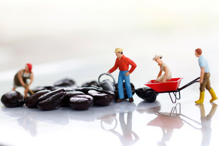 Miniature people working with coffee beans. の写真素材
