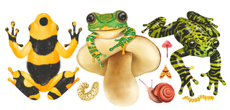 Frogs with forest elements watercolor style collection isolated on white backgroundの写真素材