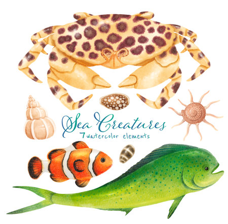 Set of Sea creature watercolor hand paintedの写真素材