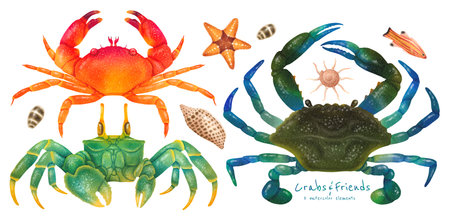 Set of sea crab watercolor hand paintedの写真素材
