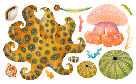 Sea creatures watercolour hand painted illustrationsの写真素材