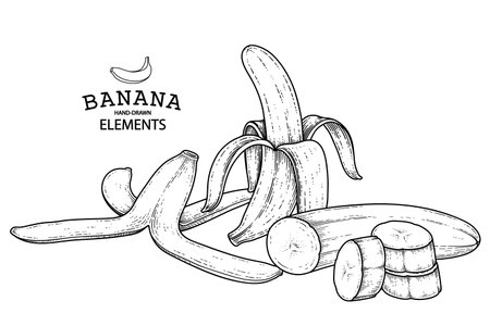 Banana hand drawn retro illustrationのイラスト素材